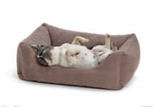 Hundebetten Hundebett