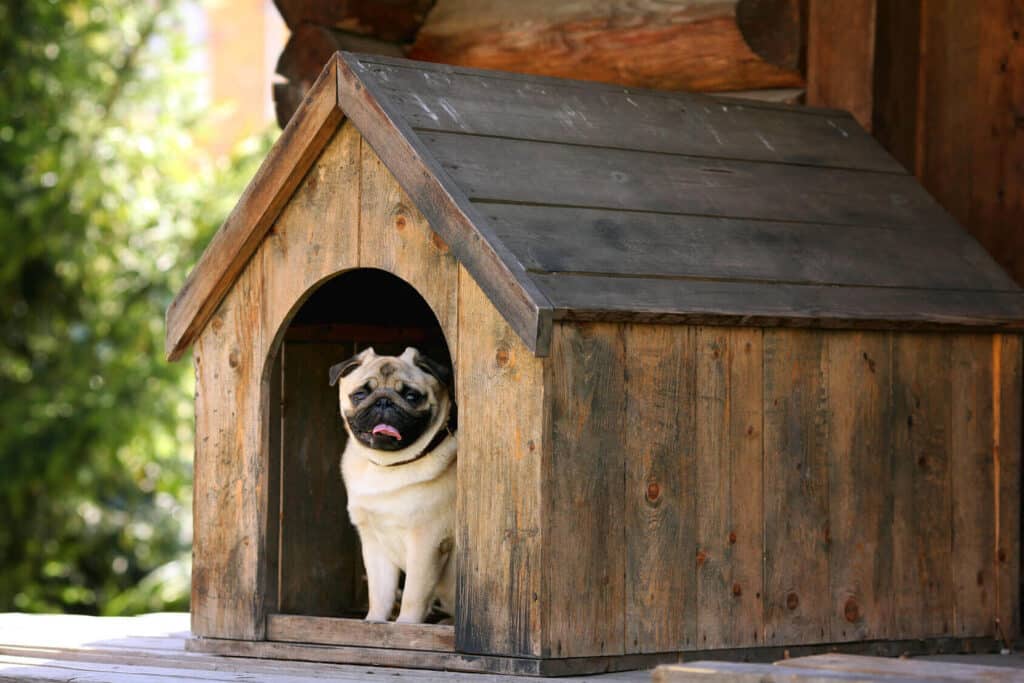 hundehuette_2_